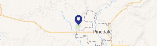 Pinedale, WY 82941