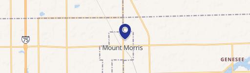 Mt. Morris Retail Plaza Opportunity