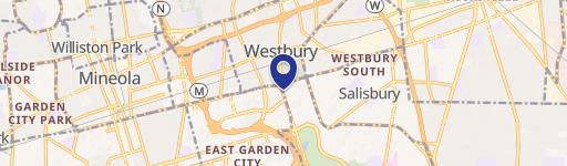 Westbury Medical Office Condos