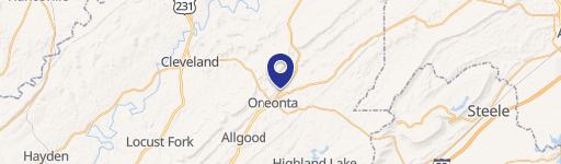 Oneonta Retail Land - Hwy 75