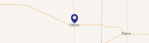 Lea County Land: Tatum, NM