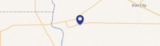 61 Acres Donalsonville, GA Land