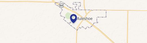 12 Acres Muleshoe, TX Residential Land