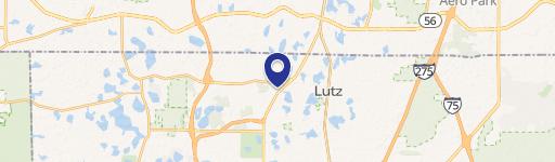 Lutz Commercial Land: BPO Zoning