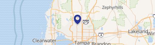 Carrollwood Commercial Land Lease