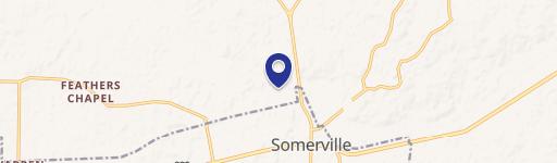 Prime 228-Acre Farm in Somerville, TN