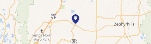 Wesley Chapel Commercial Land