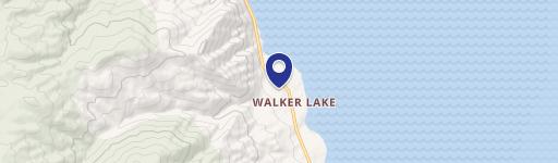 Prime Walker Lake Commercial Land