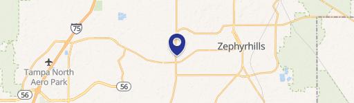 Zephyrhills Commercial Land - 1.82 Acres