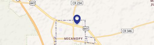 Micanopy Commercial Building