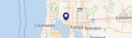 Medical Office Building, Tampa