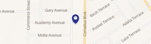 Residential Lot in Port Charlotte