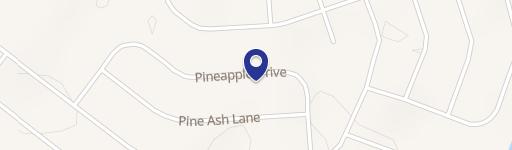 Residential Land in Palm Coast