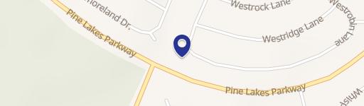 Residential Lot in Palm Coast