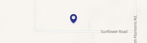 Secluded Wooded Land Near Covington