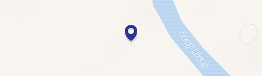 40 Acres Near Leaf River