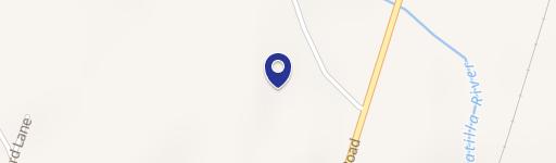 720 Acres Near Satilla River