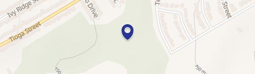 Heavily Treed Land For Sale