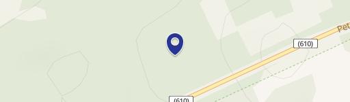 Secluded Wooded Lot in Dennisville