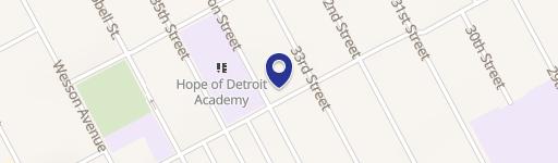 Detroit Land Opportunity: 12,228 Sqft