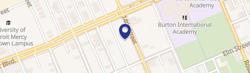 Residential Lots in North Corktown