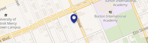 Detroit Residential Lots for Development