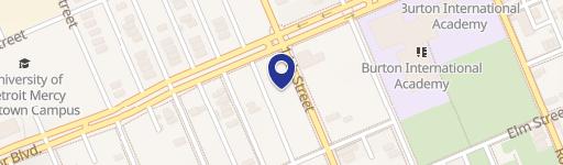 Residential Lots in North Corktown