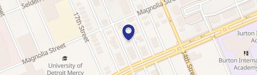 Residential Land in Detroit