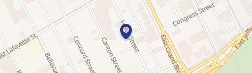 Residential Lot Near Downtown Detroit