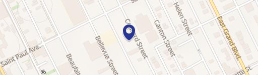 Detroit Vacant Residential Land