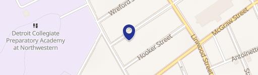 Residential Lot in Detroit