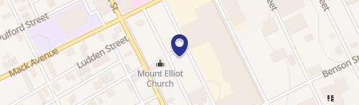 Detroit Land Bank Infill Lot