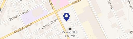 Commercial Vacant Lot in Detroit