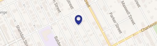 Detroit Land Infill Opportunity