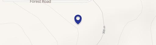 Forested Acreage with Building Site