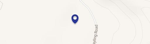 Wooded Buildable Land Parcel